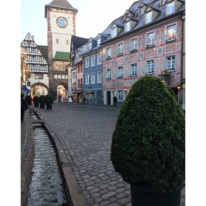 Tor in Freiburg