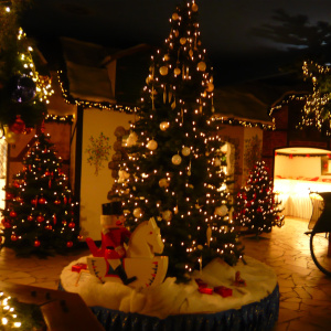 Le village de Noël : Dorotheenhütte