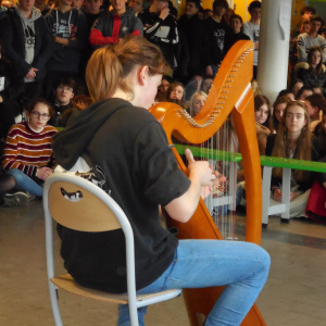 Harpe